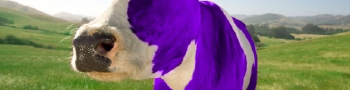 vache violette
